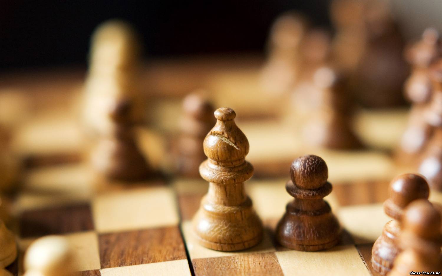 Учебник по шахматам. Урок 4: Шах, Мат и Пат.