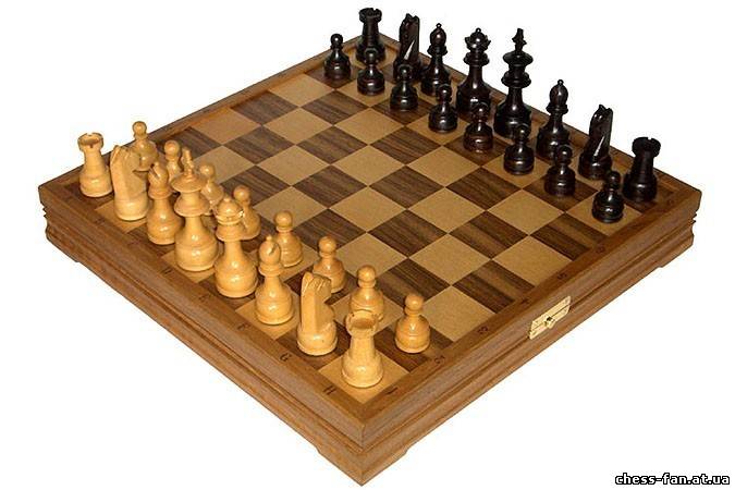 Учебник по шахматам. Урок 1. Шахматная доска.