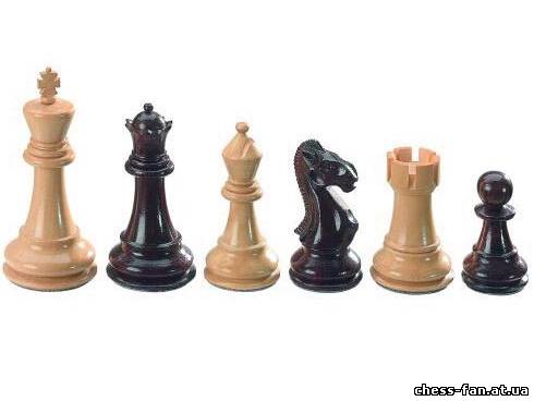 Учебник по шахматам. Урок 2. Шахматные фигуры.