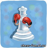 Бокс и шахматы. Различия и сходства.